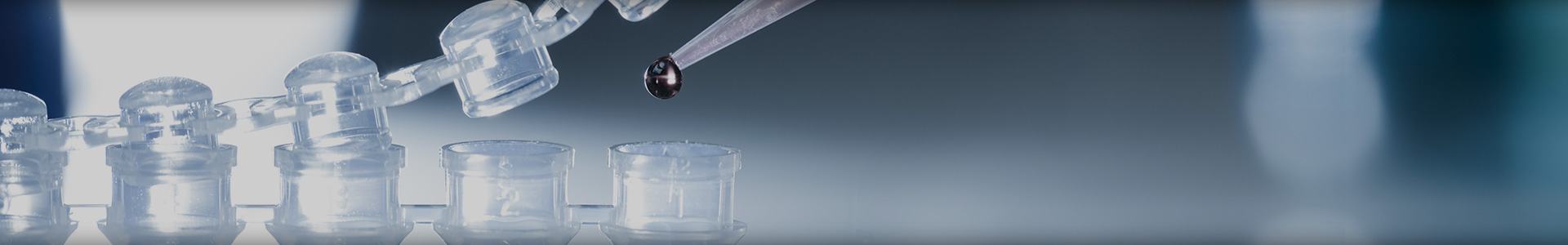 Health Professionals